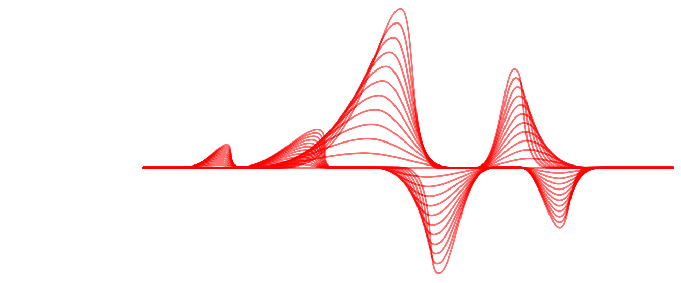 RiskModels Logo